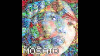 Transformation - Teri Lyne Carrington