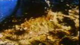 Интервью с Андреем Тарковским (часть 2)