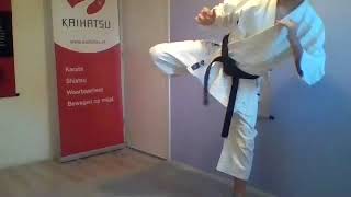 Mawashi-geri | beide benen afwisselend