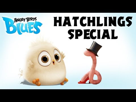 Angry Birds Special | The Early Hatchling Gets The Worm