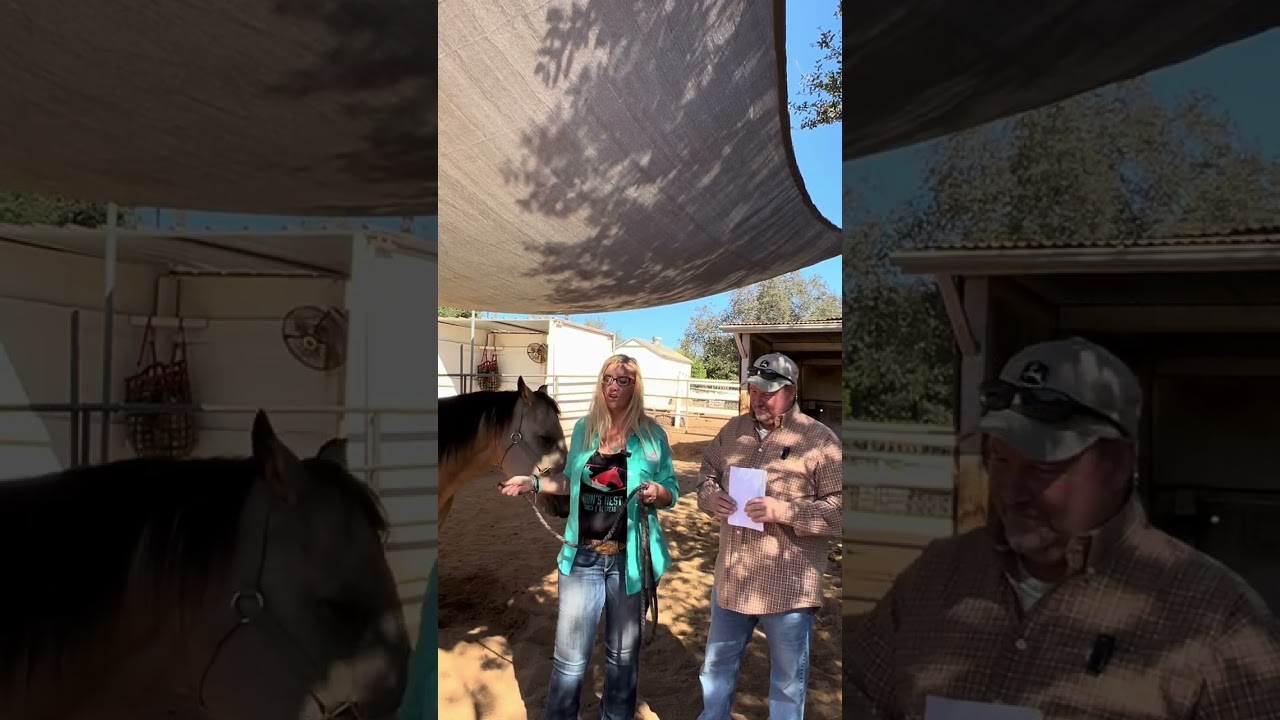 09-30-26 Ramona Chamber Happenings - Robin's Nest Rescue
