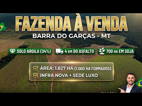 Fazenda 1.827 ha à Venda em Barra do Garças - MT | 700 ha em Soja | Condição Facilitada