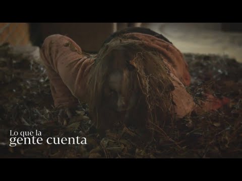 Woman of the Road | What People Say