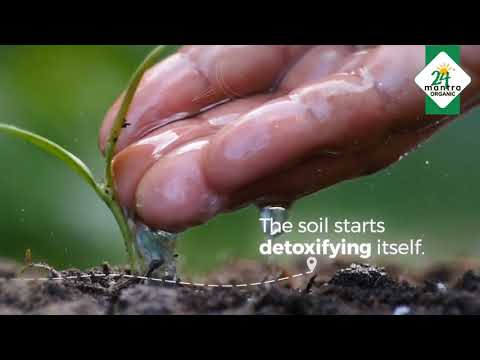 24 Mantra - Organic Is Earned