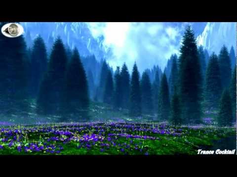 Dj Crashmaster-Infinity Dream