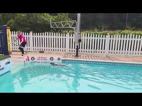 Taking A Swim With "Trinta" At The Dog Pool 15 Wks