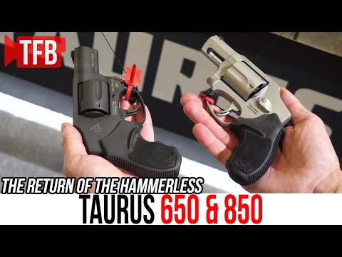 Taurus 650 Review