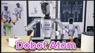 Dobot Atom: The First Humanoid Robot with Dexterous Manipulation and Straight-Knee Walking