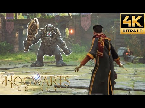 Hogwarts Legacy PS5 - All Battle Arenas Gameplay (4K 60FPS)