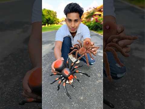 Two Remote Control Spider Wala Video🕷🔥