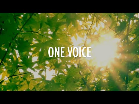 One Voice // Hosanna | Martin Nystrom // Lyrics