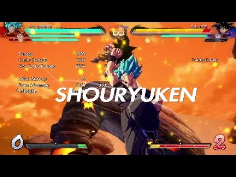 BLUE GOKU: SHOURYUKEN DBFZ