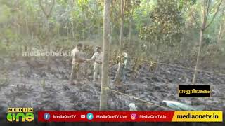 തീ അണയ്ക്കാൻ ശ്രമിക്കുന്നതിനിടെ ഇടുക്കിയില്‍ ഗൃഹനാഥന്‍ പൊള്ളലേറ്റ് മരിച്ചു video