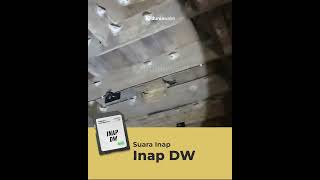 Download lagu Suara Inap DW dari BAN Duniawalet mp3