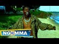Dorotia DR JOSE CHAMELEONE