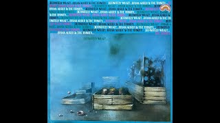 Brian Auger         Bumpin on sunset