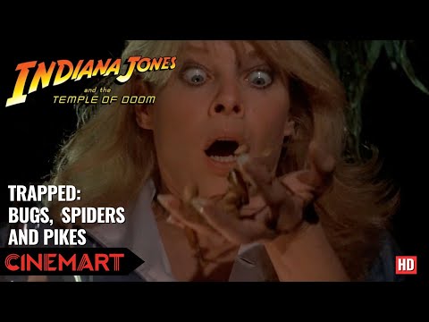 INDIANA JONES AND THE TEMPLE OF DOOM (1984) | Traps, bugs, and pikes! scene HD