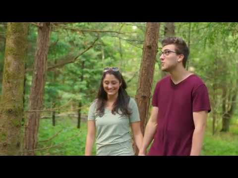 IMMERSIVE FOREST (The iForest)   A Conversation with Pete Wyer