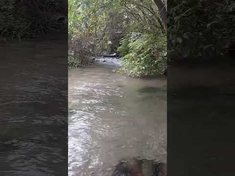 Rio quente