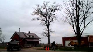 preview picture of video 'F & F Tree Service Yellow Springs, Ohio...  Call 937-520-8733 for your free estimate today'