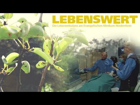 LEBENSWERT | EIN BLICK IN DIE LEBERAMBULANZ AM EVANGELISCHEN KLINIKUM NIEDERRHEIN