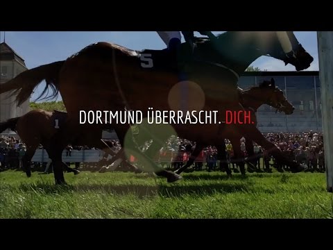 Pascal Werning, Rennstall Werning  | DORTMUND ÜBERRASCHT. DICH.
