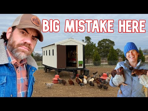 Why I’m Changing How We Use Chickens on the Farm