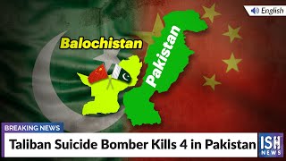 Taliban Suicide Bomber Kills 4 in Pakistan