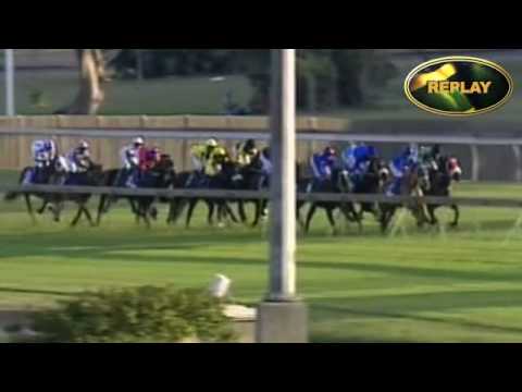 DAILY NEWS 2000 GR1 : IRISH FLAME