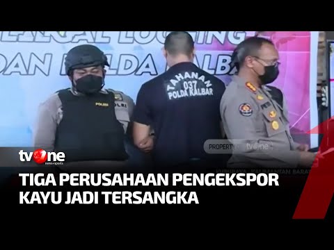 Polda Kalsel Sita Ratusan Kayu Ilegal, 3 Perusahaan Pengekspor jadi Tersangka | tvOne
