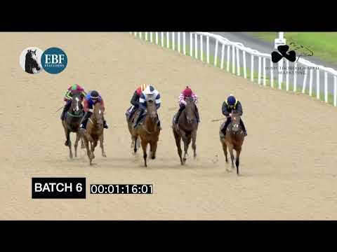 Irish EBF Barrier Trials 5 July 2022 - Batch 06