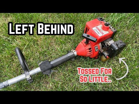 Frei beweglicher Homelite SX-135 Bandit-Fadentrimmer, was braucht er?