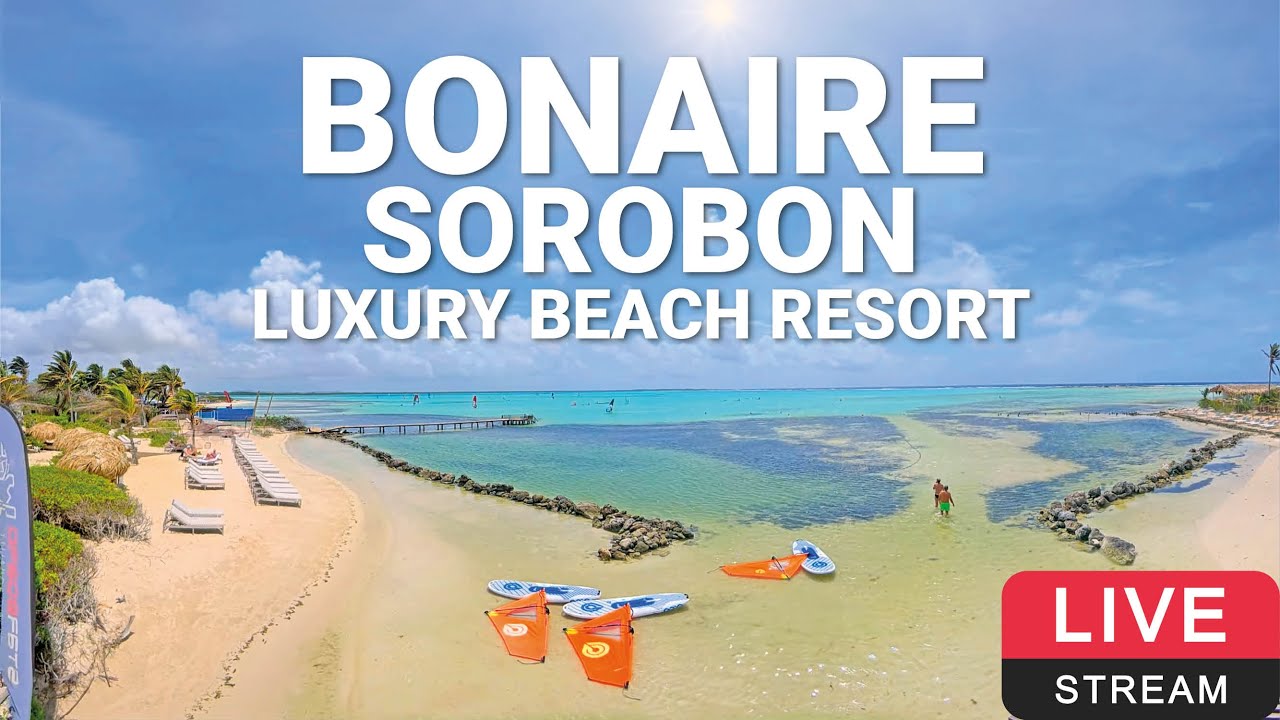 Sorobon Luxury Beach Resort | Dunkerbeck Pro Center | Bonaire 🏄💦🌴 180° LIVE WEBCAM