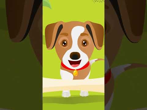 Azi Grivei e mânios 🐶 #tralala #johny #cantececopii