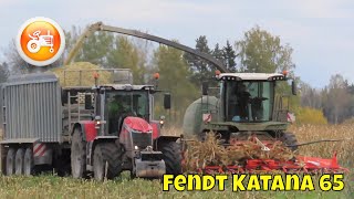Silage 2023 | Fendt Katana 65 forager chopping corn