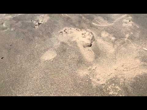 Sands storm in Camberwell Sands Beach