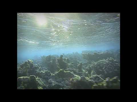 Ataraxia – Lost Atlantis – 2 x Vinyl (LP, Album + 3 more), 2022 [r21959047] | Discogs