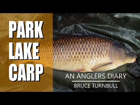 An Anglers Diary with A Moment in Time Channel - Chapter 137 - Carp Fishing