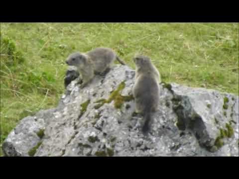 Dimon lake (Italy) August 2020 - Lago Dimon