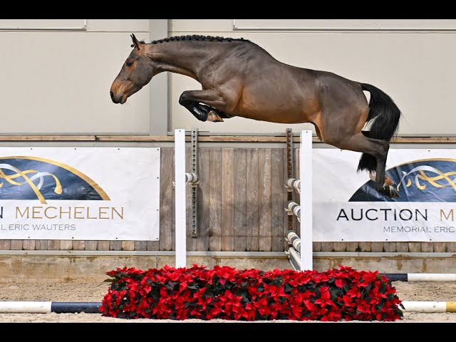 Wijzen Odiel d'Hulsterlo