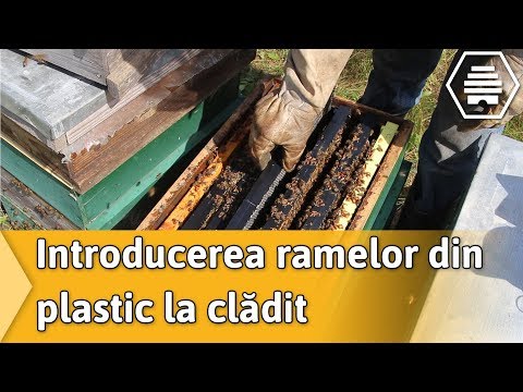 Introducerea ramelor din plastic la cladit
