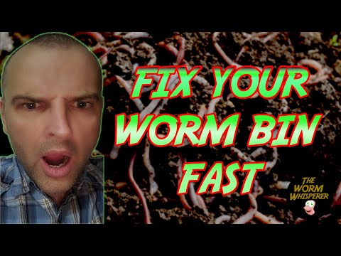 FIX your WORM BIN FAST! QUICKLY fix VERMICOMPOSTING mistakes!