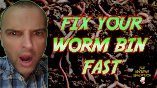 FIX your WORM BIN FAST! QUICKLY fix VERMICOMPOSTING mistakes!