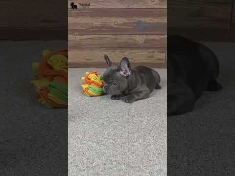 Video 3