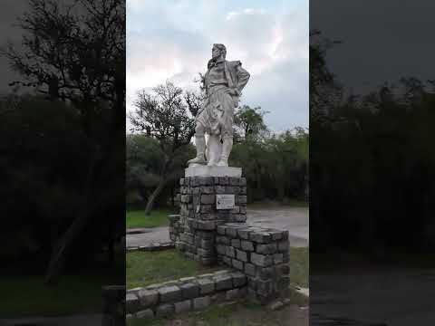 Paz entre los árboles 🌳✨