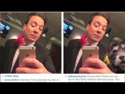 'Muttbombing' craze will melt your heart