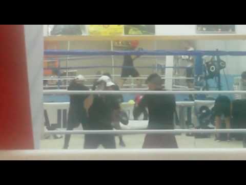 Figure con Sandro Casamonica