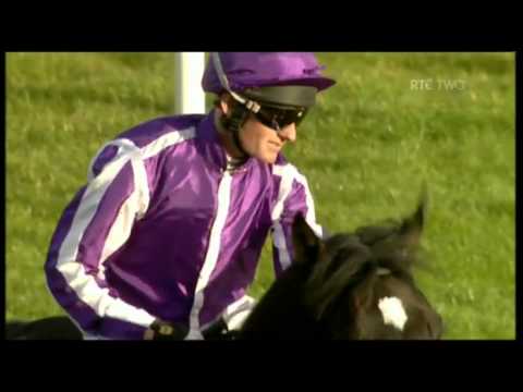 So You Think - Irish Champion Stakes 2011