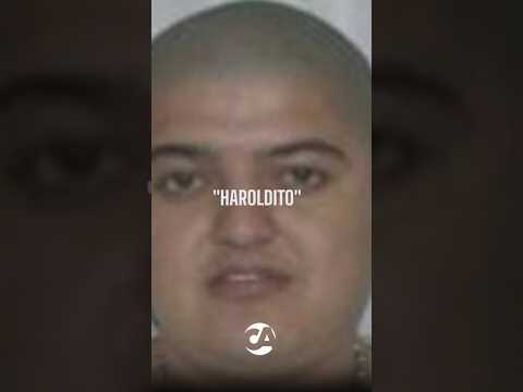 🚨 Huité: "Haroldito" y las preguntas que siguen sin respuesta