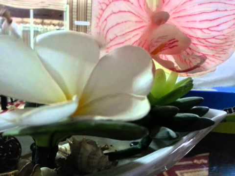 Aturan sin Pag Dahwa sin mga DA'EAH (TAUSUG)